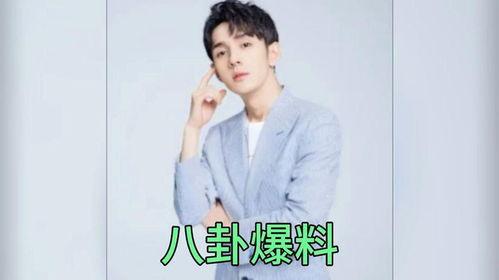 吃瓜娱乐圈王子,娱乐圈的瓜田传奇