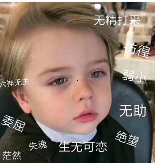 微信表情包吃瓜什么意思,揭秘微信表情包“吃瓜”背后的趣味与内涵