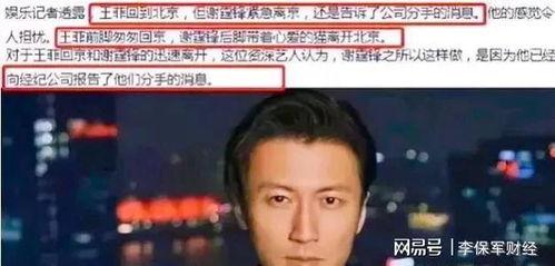 娱乐吃瓜小将谢霆锋
