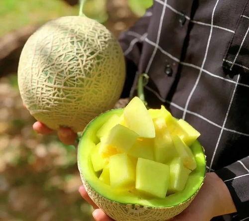 娱乐圈可以吃的大瓜,揭秘明星背后的惊人真相