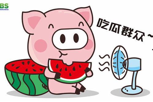 网络语吃瓜是什么意思啊,吃瓜背后的文化内涵