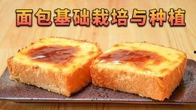 寺寺娱乐吃瓜,揭秘娱乐圈吃瓜背后的真相