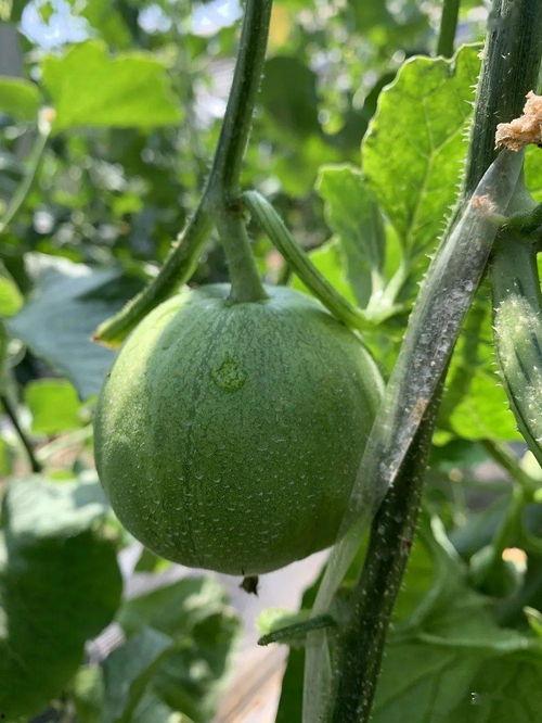 哪些地方可以娱乐圈吃瓜