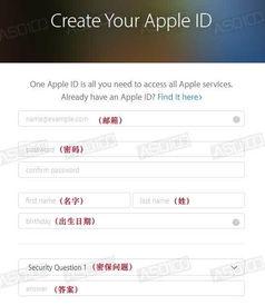 吃瓜娱乐账号注册流程,轻松注册吃瓜娱乐账号，开启你的娱乐之旅！