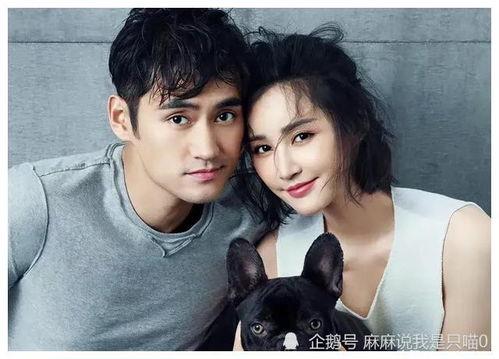 娱乐圈吃瓜爆料七字真言,幕后真相大曝光