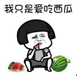 晋江吃瓜娱乐圈,晋江吃瓜群众揭秘幕后真相